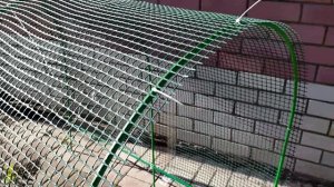 Выгул для кур и цыплят своими руками за 10 минут