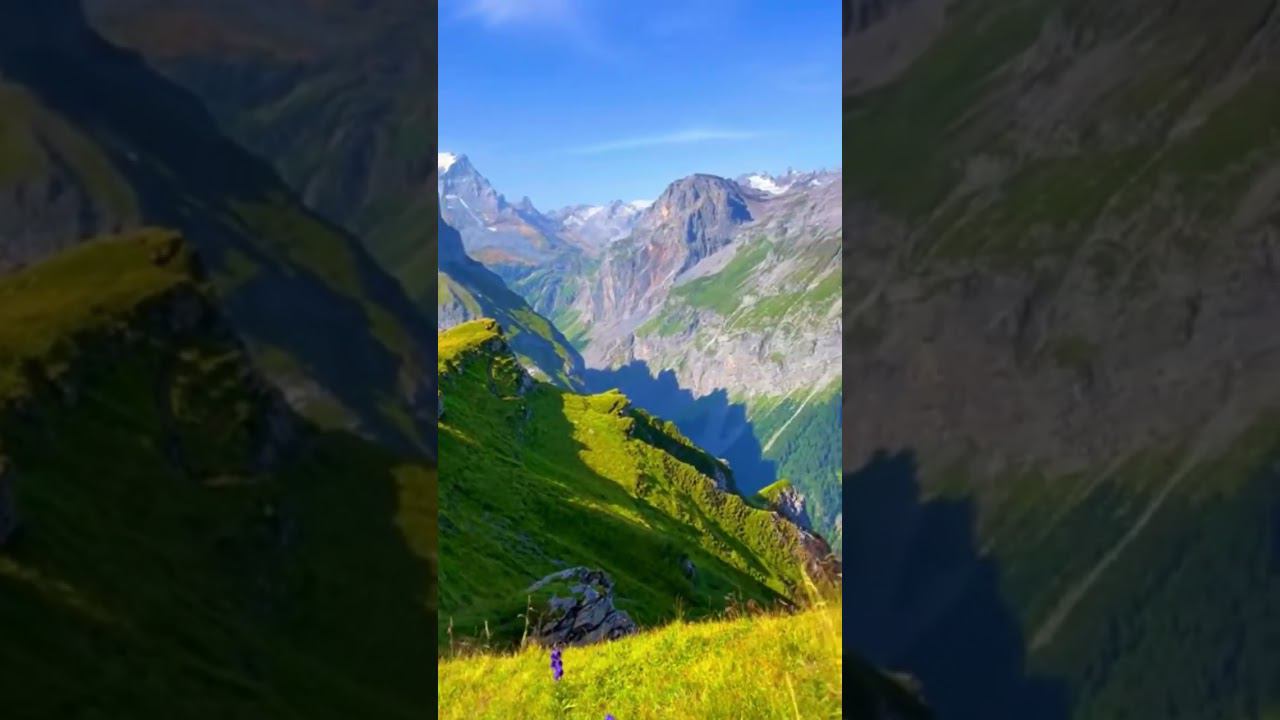 respect 2108242032 #asmr #remix #nuture #travel смотреть онлайн