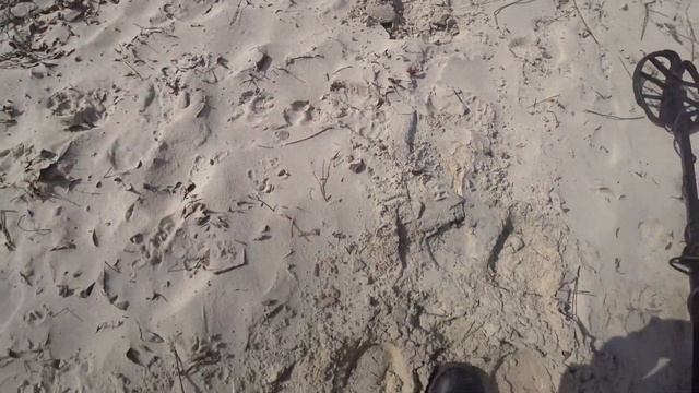 Реальный тест Nokta Simplex plus на золото серебро и медь смотреть онлайн