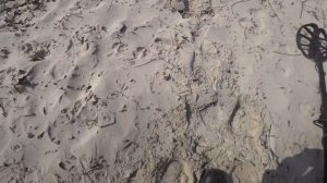 Реальный тест Nokta Simplex plus на золото серебро и медь