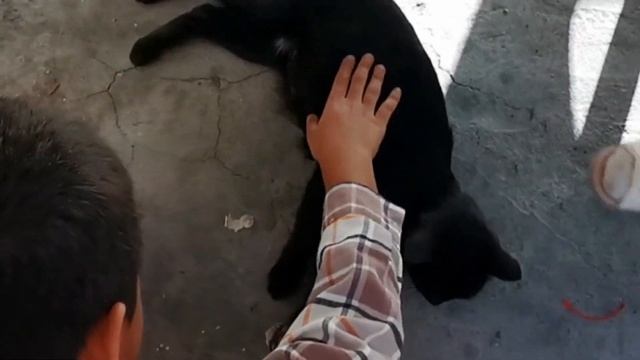 Природа Шамахи - озеро Чухурюрд смотреть онлайн