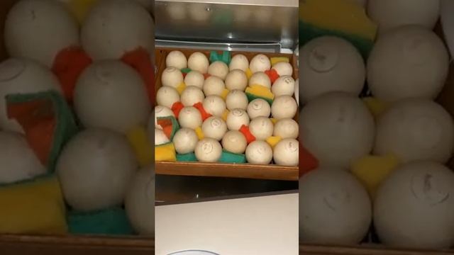 Началась инкубация утки мулард. Яйцо покупала в компании ПроПтиц - розница 85р