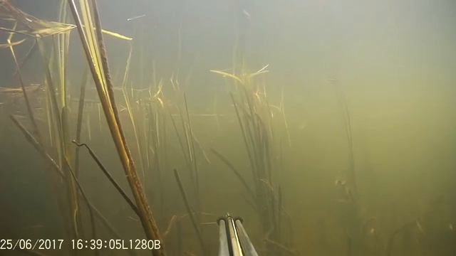 Тарбеево 68 rus смотреть онлайн