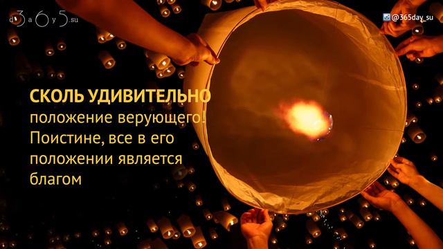 Сборник хадисов Ибн Ханбал смотреть онлайн