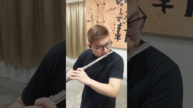 Let It Go (Flute Cover) смотреть онлайн