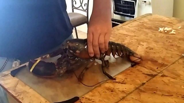 США. Как приготовить лобстера. Lobster cooking. смотреть онлайн