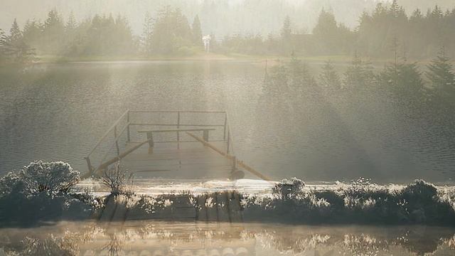 Вы спросите зачем пишу стихи ( читает автор Инна Разумовская ) смотреть онлайн