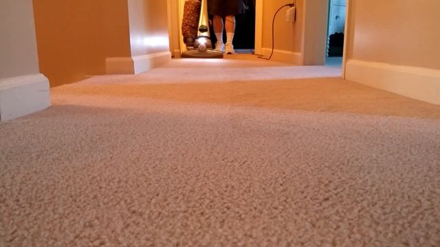Kirby Sentria II Whole House Cleaning