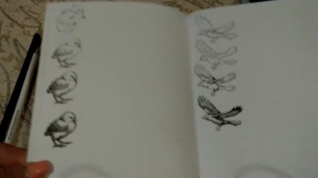 Обзор SKETCH BOOK смотреть онлайн