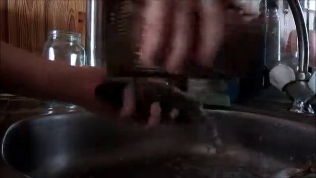 Як швидко почистити окуня. Корисний лайфхак