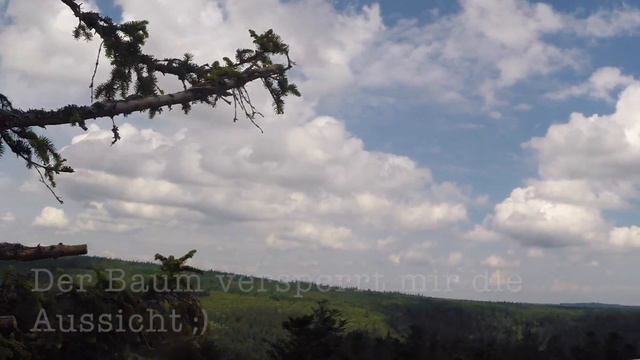 Rundgang: Aussichtsturm und Rutsche, Baumwipfelpfad Bad Wildbad смотреть онлайн