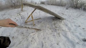 Ловушка на ГУСЯ | как сделать ловушку на гуся и ФАЗАНА /ловушка на перепелку,зайца