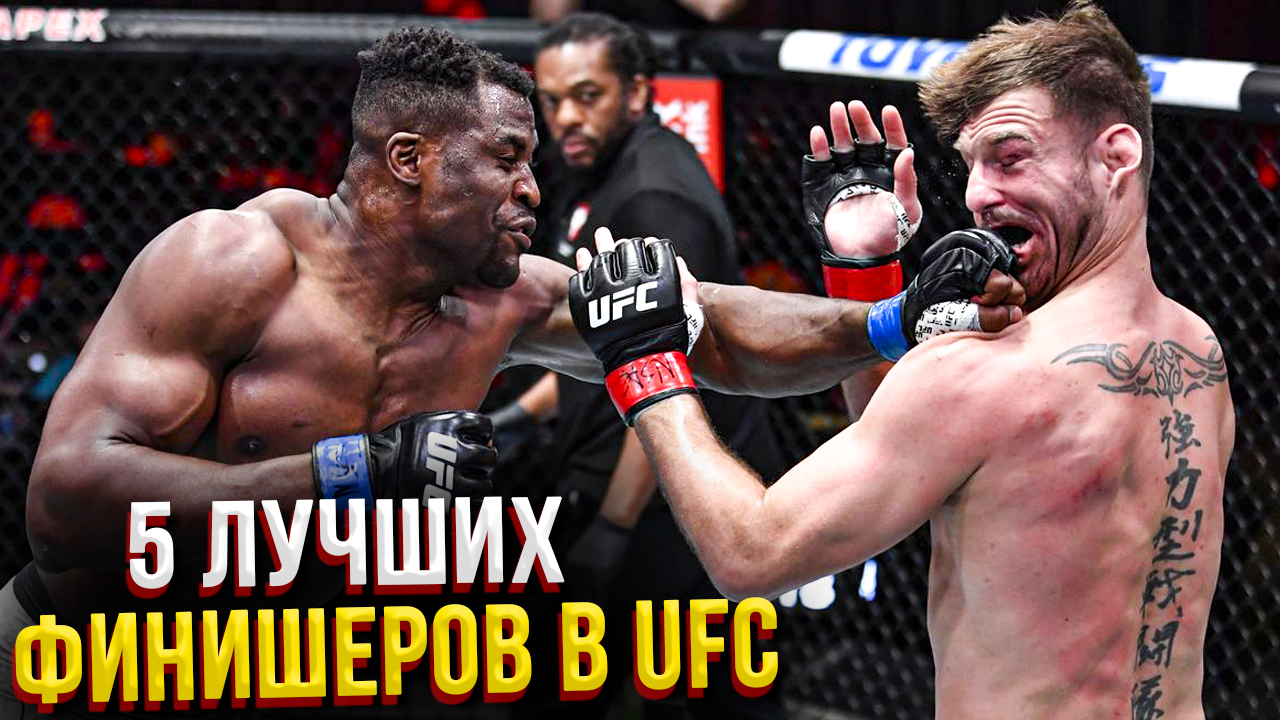 5 Лучших финишеров UFC на данный момент!
