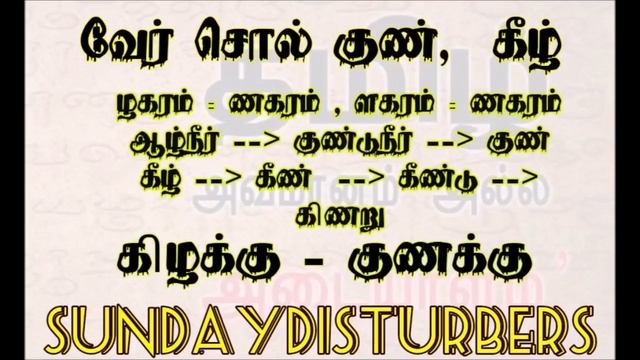 பண்டைய தமிழர்களின் அதிரவைக்கும் அறிவு | தமிழ் திசைகள் | SundayDisturbers смотреть онлайн
