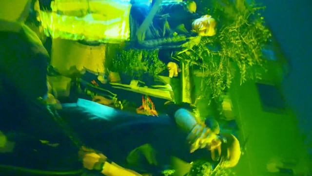 PANKA - FLORENTTINO ft JOHAO KELOKE смотреть онлайн