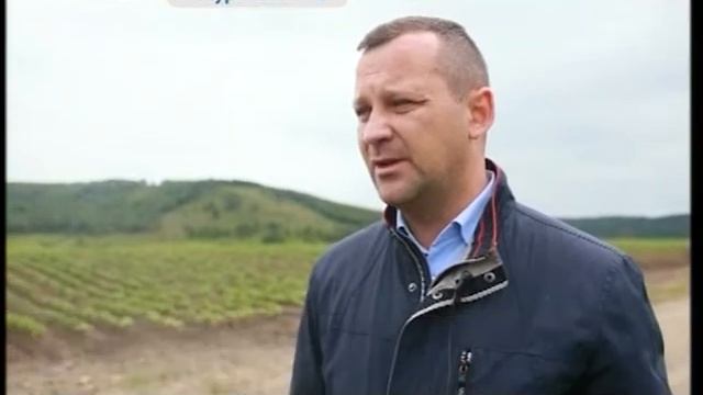 Новые сорта элитного картофеля выращивают в Приморье смотреть онлайн
