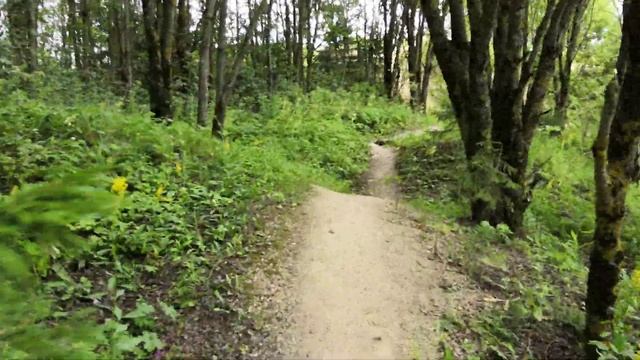 Барханы Гатчинской пустыни 4K или Борницкий карьер - неизвестный Санкт-Петербург .ne, смотреть онлайн