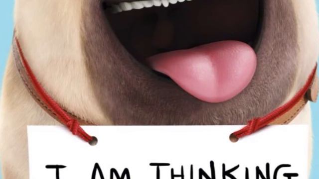 Герои тайная жизнь домашних животных в реальности смотреть онлайн