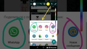 Как в вотсап обводить, писать текст, полезные штучки