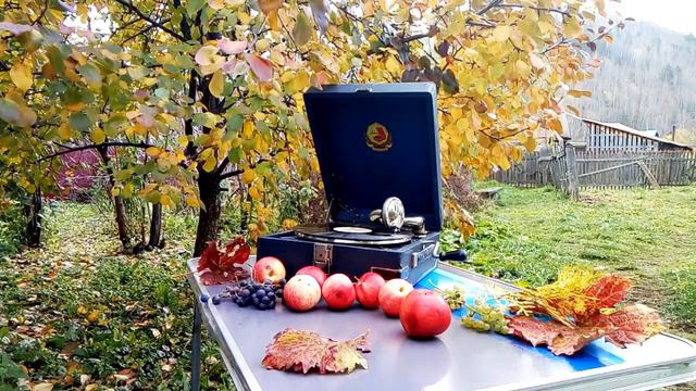 ПУСТЬ ЗЕЛЁНЫЙ ГОРИТ ОГОНЁК