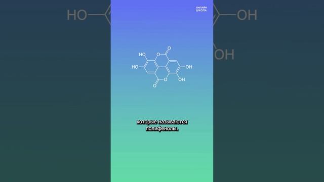 Почему яблоки темнеют на срезе? | #shorts смотреть онлайн