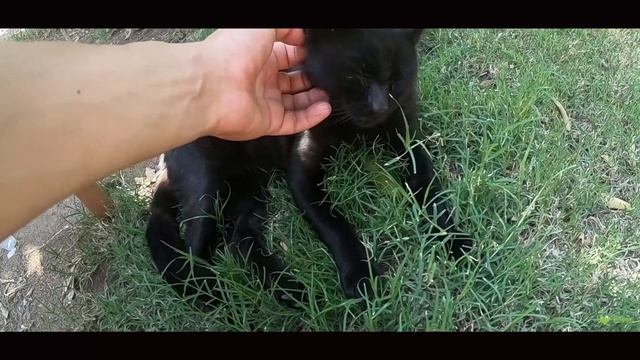 Классика Ликийской тропы - поход по восточной части, 2019 смотреть онлайн