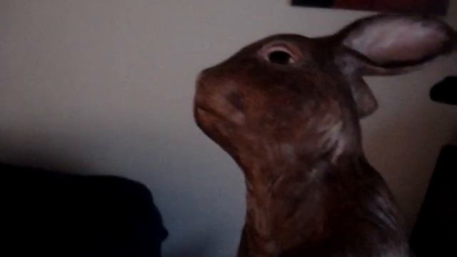 Drama Prairie Dog 2: the bunny смотреть онлайн