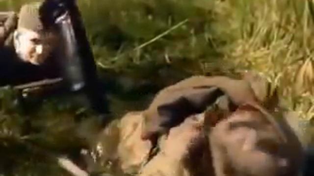 Максим Перепелица (1955)