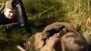 Максим Перепелица (1955)