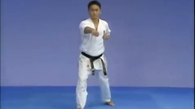 Каратэ Киокушинкай: Ката - Тайкиоку Соно Ичи | Kyokushin Karate: Kata - Taikyoku Sono Ichi смотреть онлайн