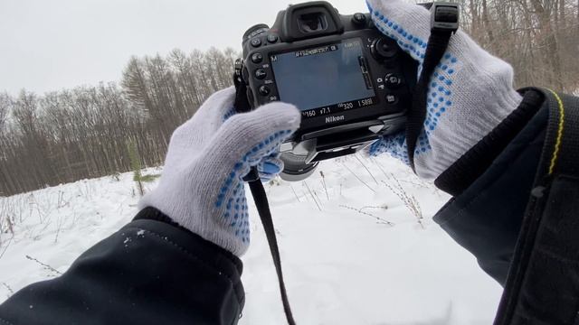 Mr S и Nikon | лес ? смотреть онлайн
