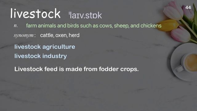 85 Academic Words Ref from "Chris A. Kniesly: History through the eyes of a chicken | TED Talk" смотреть онлайн