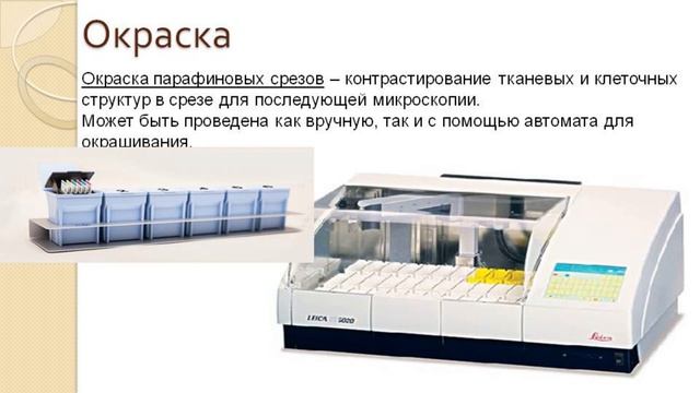 3.2 Приготовление гистологических срезов и их окраска.mp4 смотреть онлайн