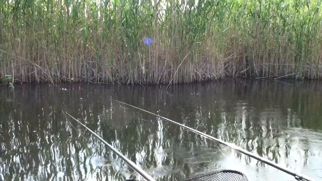 Риболовля. Нова Каховка. Плавні. Чудова природа. смотреть онлайн