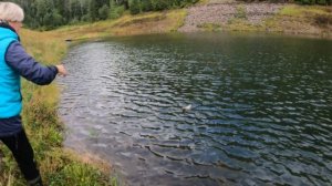 Рыбалка на новом месте  Залив Шумиха