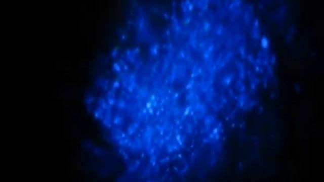 Проектор Star Master смотреть онлайн