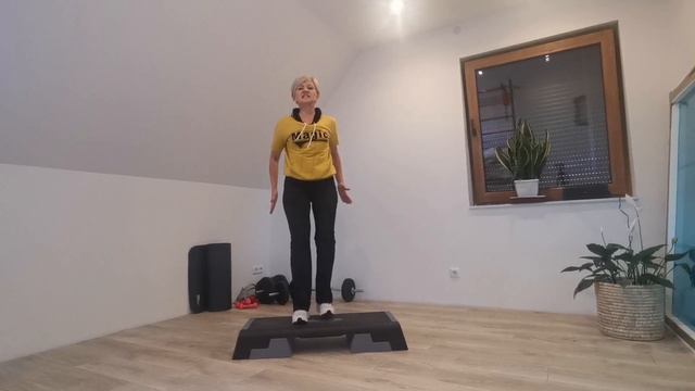 Step Aerobic Für Anfänger // Irina Fitpoint // Степ для начинающих