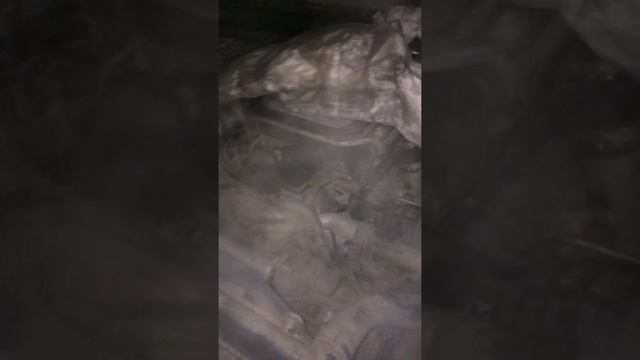 Nissan Np 300 YD25  стук мотора на холодную