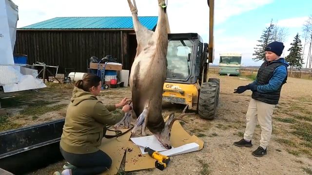 Касуля разбераем на мясо смотреть онлайн