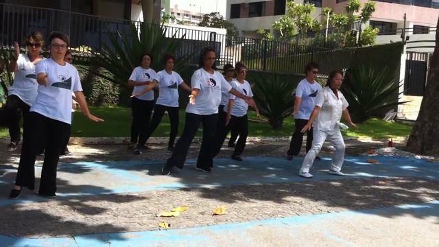 Tai Chi Chuan Forma 10 DMTCC Candeias 2019 смотреть онлайн