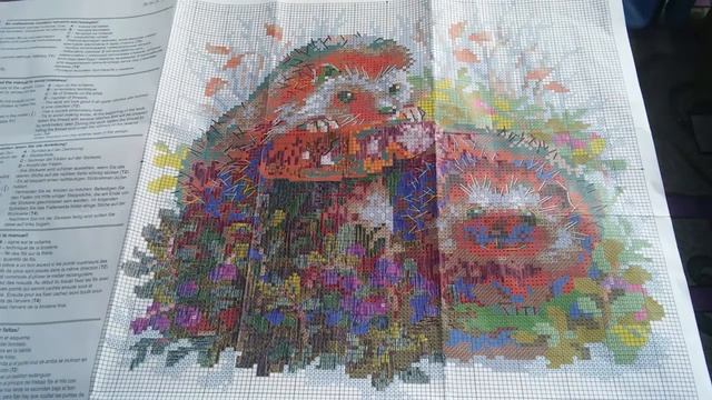 Ёжики в брусничке. Риолис. Отчет 1. смотреть онлайн