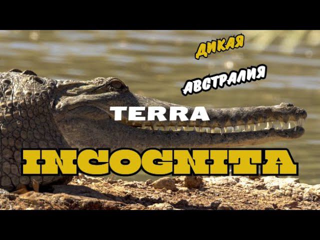 Дикая природа Австралии нашими глазами #nature #wildnature #australia