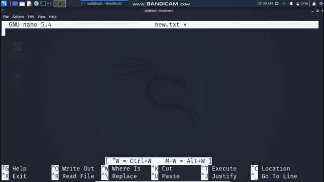 Basic Linux Commands Part-1 (Hindi) | Kali Linux Commands | Technical Broker смотреть онлайн