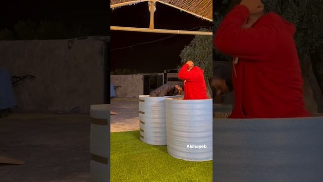 Игра "плëткой по лицу", ржач нереальный))) смотреть онлайн