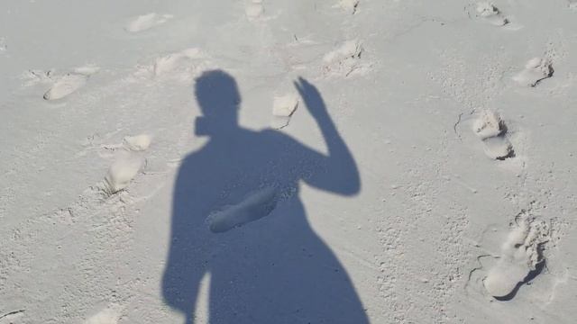 Паспортно-визовый контроль в аэропорту JFK.