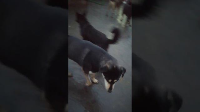 На прогулке смотреть онлайн