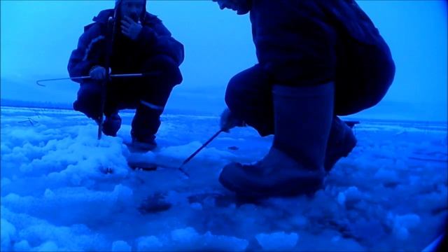 Лен. обл.рыбалка ЩУКА МОНСТР. МЕГРА 31.12.2017.Смотреть всем Подарок на новый год! смотреть онлайн