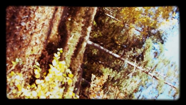 August Hylse - KONSTIG FILM #2 - Hultagölen Ronneby höst 2014 eller 2015 смотреть онлайн