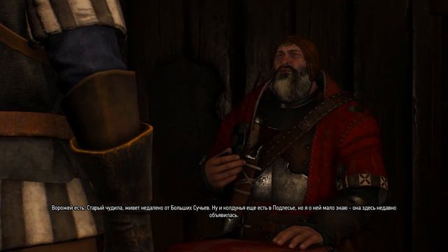ВОРОЖЕЙ The Witcher 3: Wild Hunt #21
