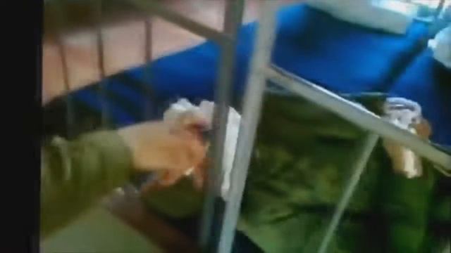 Super Prikol выпуск 67 Русская армия приколы смотреть онлайн